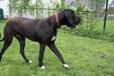 Byron Vom Haus Heinbach