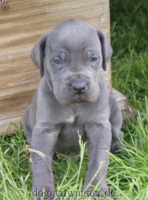 Maria Vom Hause Wagner