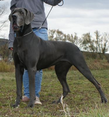 Maria Vom Hause Wagner