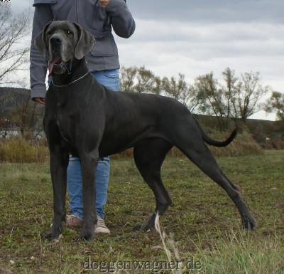 Maria Vom Hause Wagner