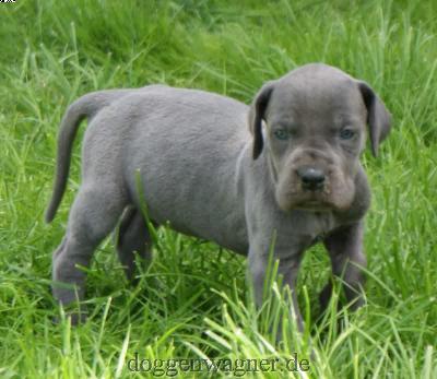 Magdalena Vom Hause Wagner