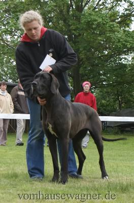 Wind Of Change Vom Mephisto