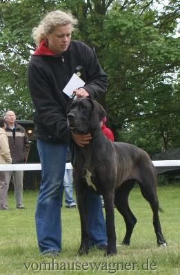 Wind Of Change Vom Mephisto