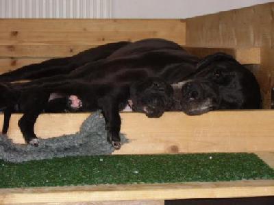 Wind Of Change Vom Mephisto