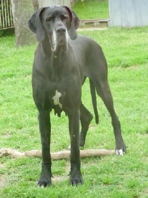 Wind Of Change Vom Mephisto