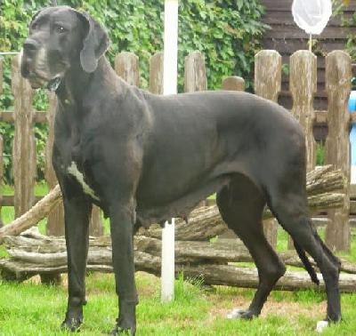 Wind Of Change Vom Mephisto