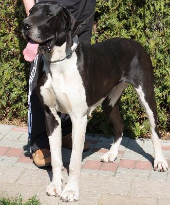 Romina Vom Dnner Land