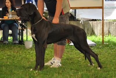 A-black-pearl Singularis