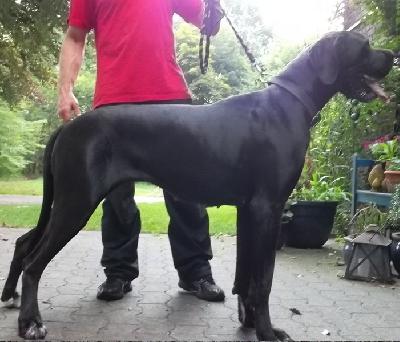 Alana Vom Hofe Hartkemper