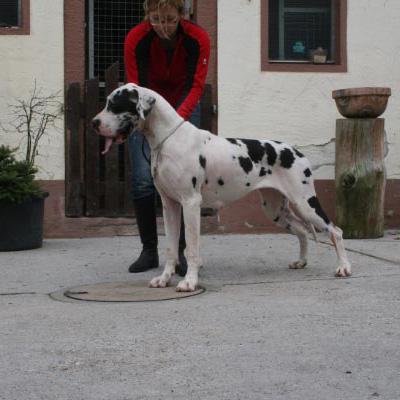 Quickie Vom Teufelsgrund