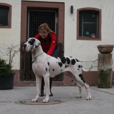 Quickie Vom Teufelsgrund