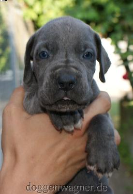 Nagoya Vom Hause Wagner