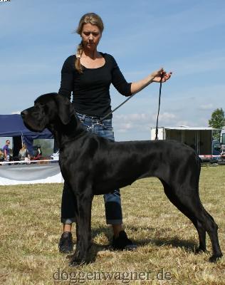 Embleme Des Terres De La Rairie