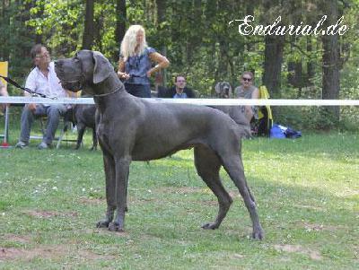 Berlin Of Blue Diablo