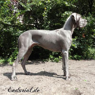 Berlin Of Blue Diablo