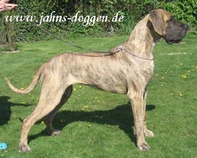 Pauline Vom Dnner Land