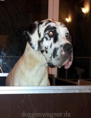 Nele Von Der Stadt Lneburg