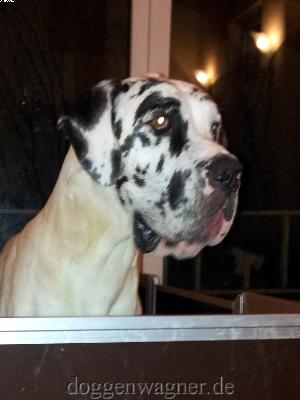 Nele Von Der Stadt L�neburg