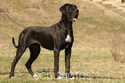 Nelli Von Der Stadt Lneburg