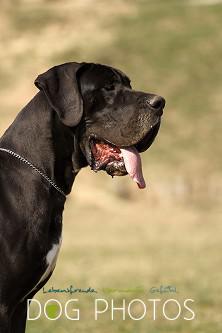 Nelli Von Der Stadt L�neburg