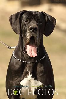 Nelli Von Der Stadt L�neburg