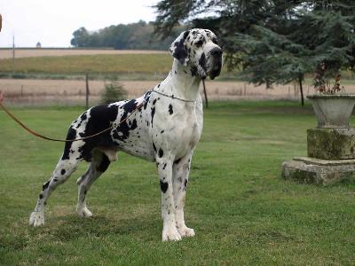 Cash Des Terres De La Rairie