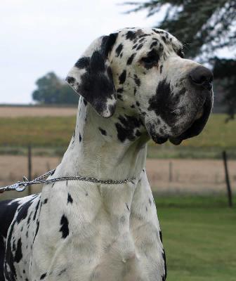 Cash Des Terres De La Rairie