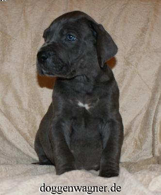 Prinzessin Ludovika Vom Hause Wagner