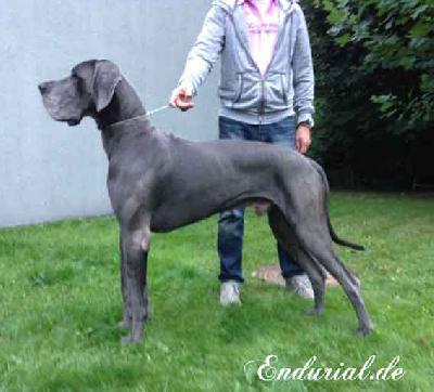 Quadrant Vom Hause Wagner