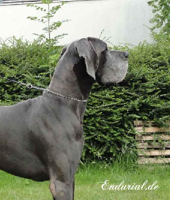 Quadrant Vom Hause Wagner