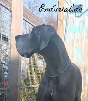 Quadrant Vom Hause Wagner