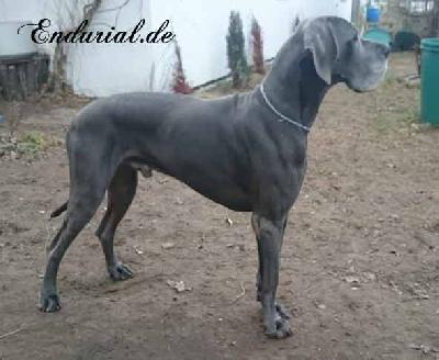 Quadrant Vom Hause Wagner