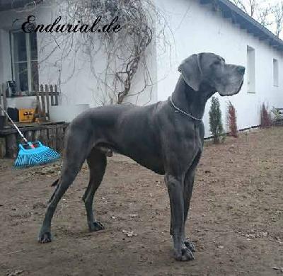 Quadrant Vom Hause Wagner