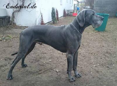 Quadrant Vom Hause Wagner