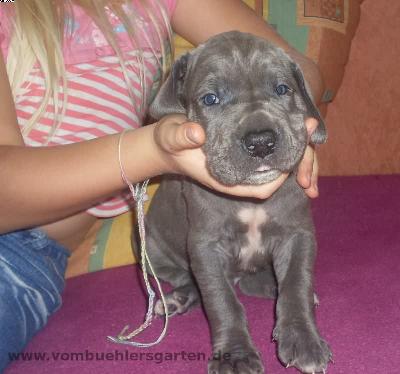 Athos Vom B�hlers Garten