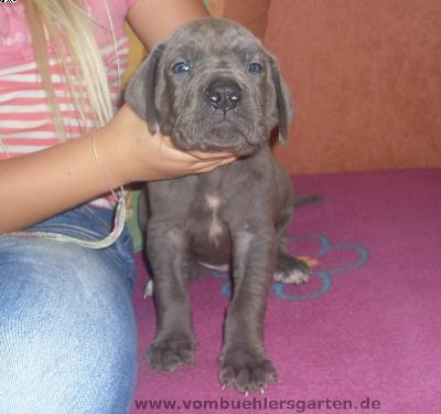 Andy Vom B�hlers Garten