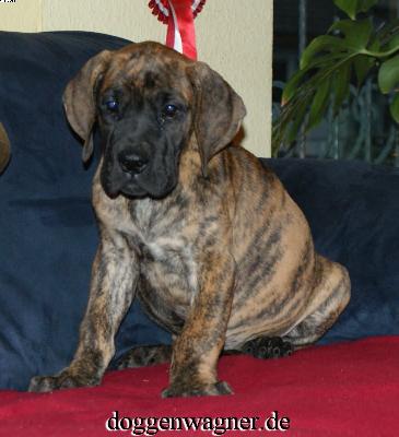 Rebecca Vom Hause Wagner