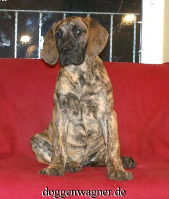 Rebecca Vom Hause Wagner