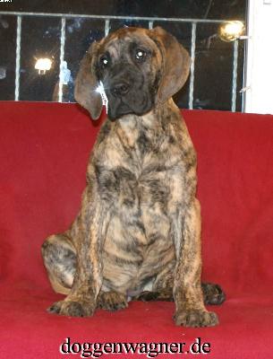 Rebecca Vom Hause Wagner