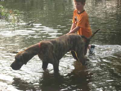 Anastasia Von Der Lullusglocke