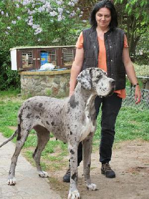 Alraune Vom Mephisto