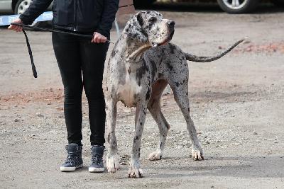 Alraune Vom Mephisto