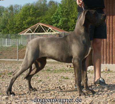 Sir George Vom Hause Wagner