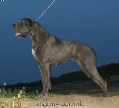 Sella Vom Hause Wagner