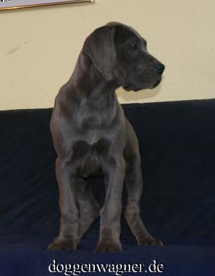 Spatia Vom Hause Wagner