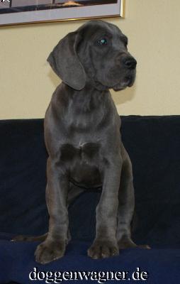 Spatia Vom Hause Wagner