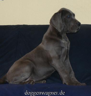 Spatia Vom Hause Wagner