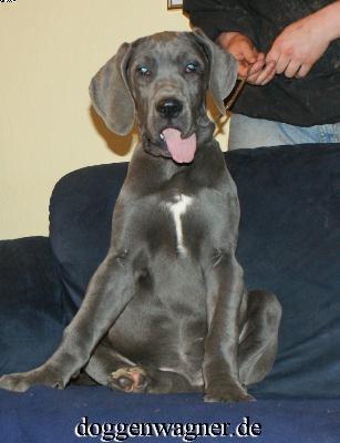 Sutura Vom Hause Wagner