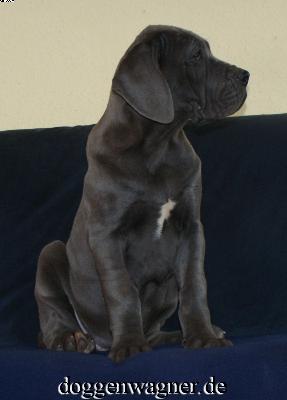 Substantia Vom Hause Wagner