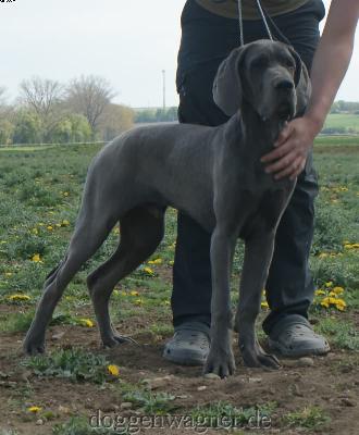 Unikus Vom Hause Wagner